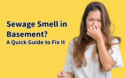 Sewage Smell in Basement? A Quick Guide to F It 